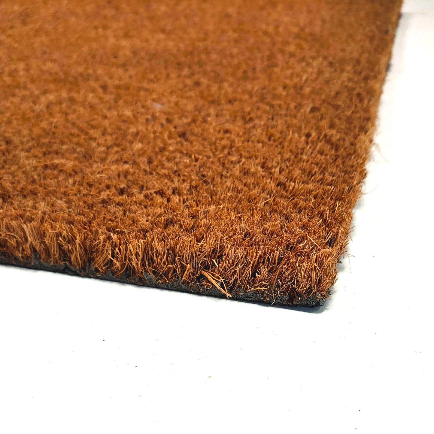 Hedgehog Family Coir Door Mat